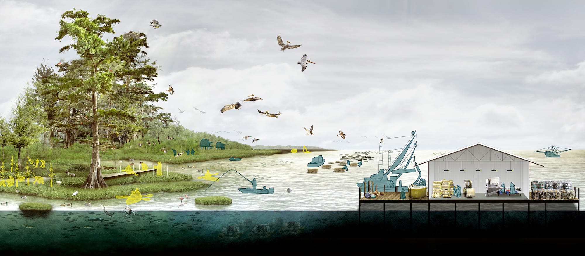 What our future wetlands can look like
